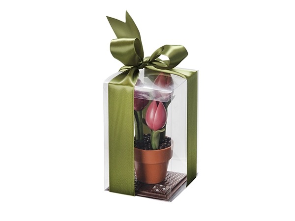 Potje tulpen